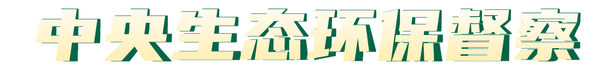中央生态环保督察