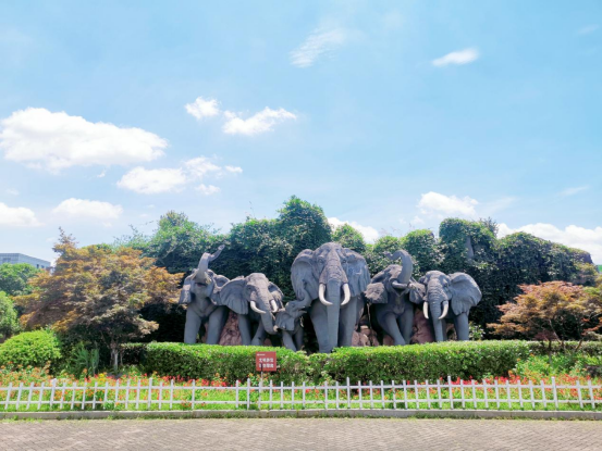长沙生态动物园（AAAA级景区）