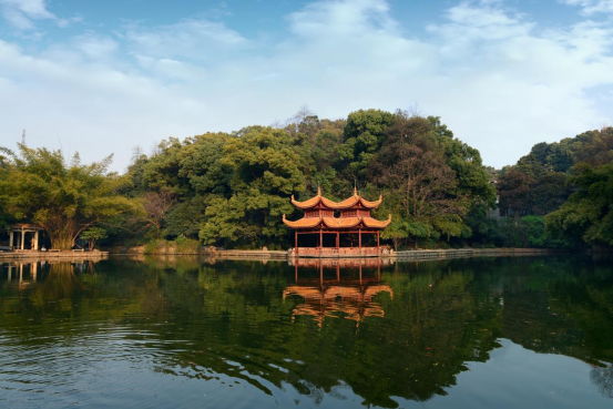 南郊公园
